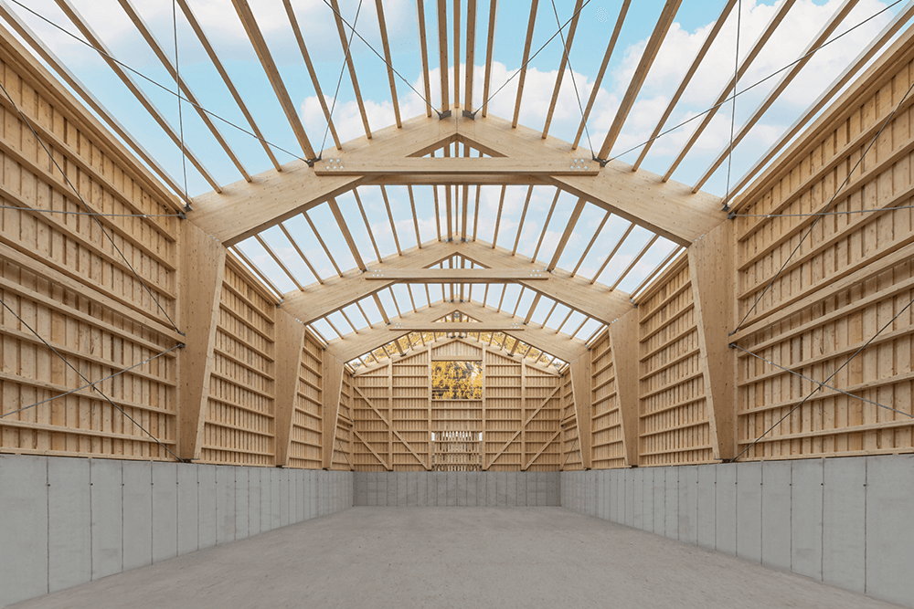 HOLZHAUS ANTONY E.